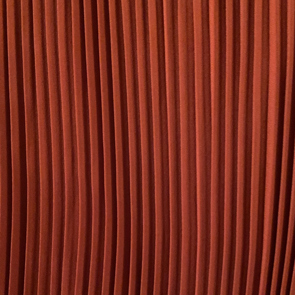 Fall Color Pleated Dress - Picture 3 of 6
